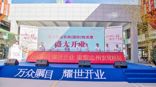 忠縣農產品物流港盛大開業，一站式初加工服務賦能農產品流通體系現代化
